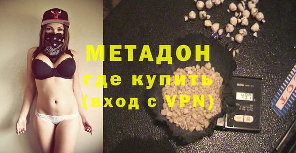 прущие грибы Алзамай