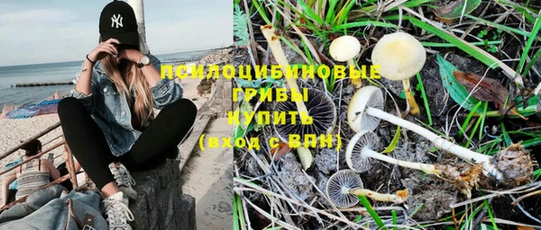 а пвп мука Алексеевка