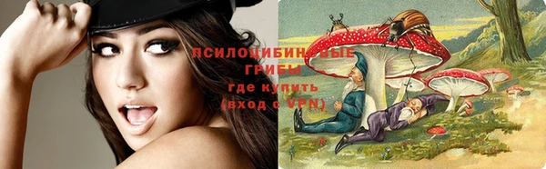 прущие грибы Алзамай