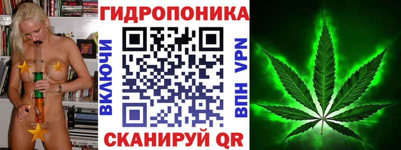 Бошки марихуана SATIVA & INDICA  магазин  наркотиков  Мураши 